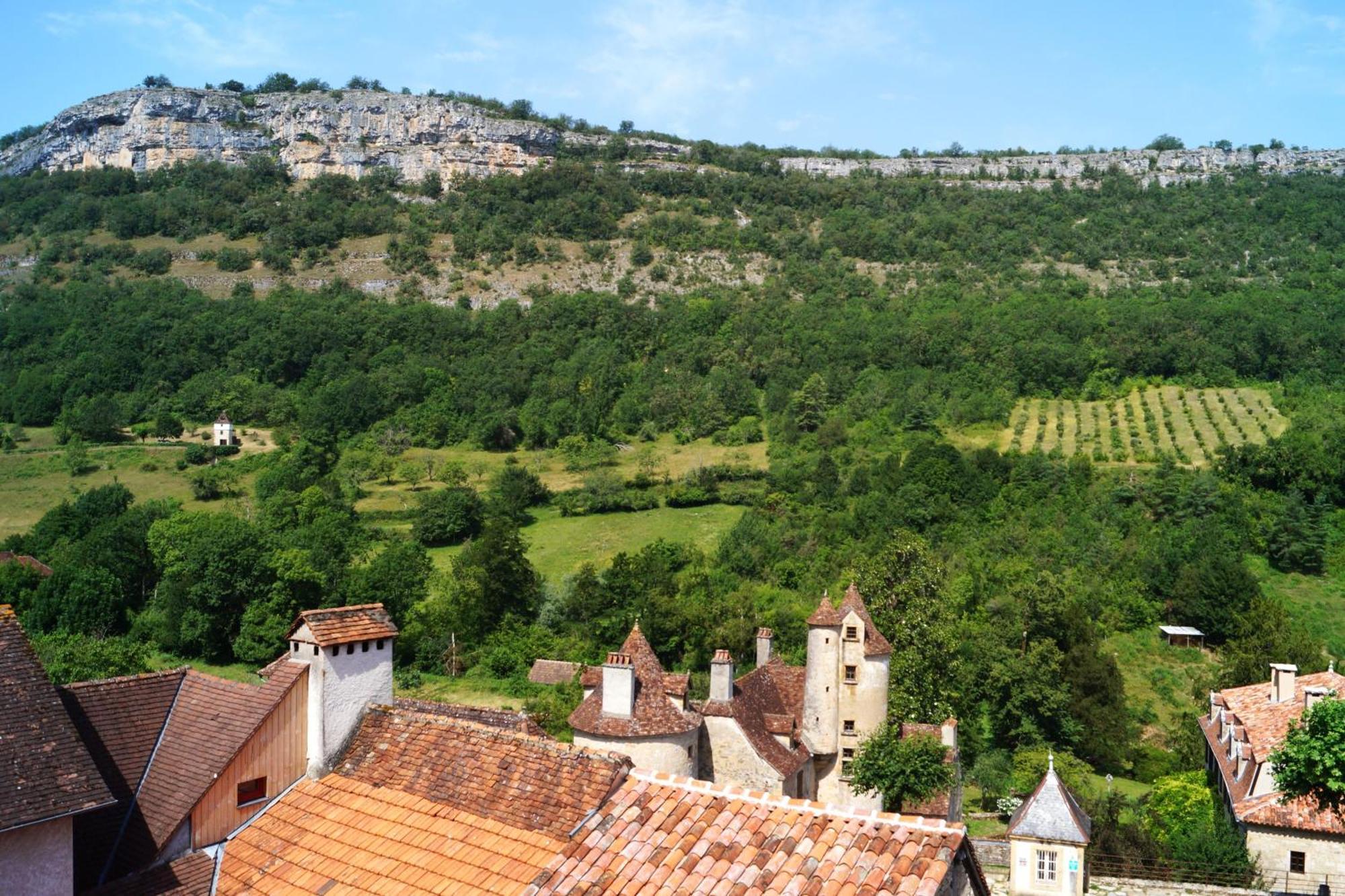 オートワール Manoir De Laroque Delprat Bed & Breakfast エクステリア 写真