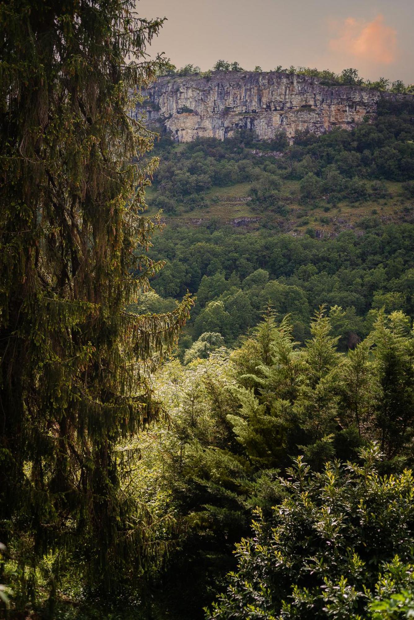 オートワール Manoir De Laroque Delprat Bed & Breakfast エクステリア 写真