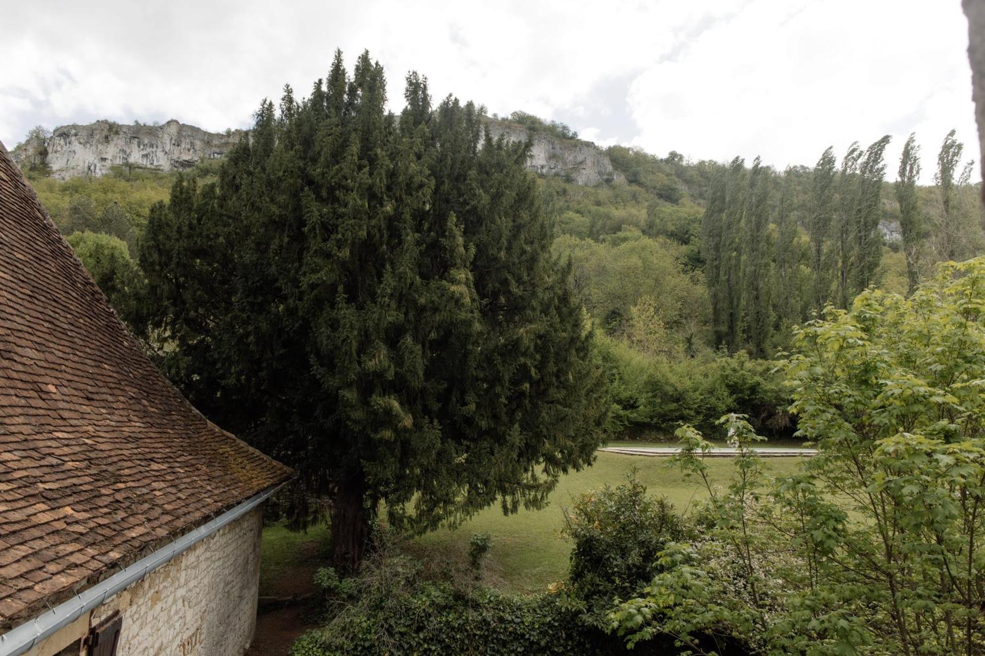 オートワール Manoir De Laroque Delprat Bed & Breakfast エクステリア 写真