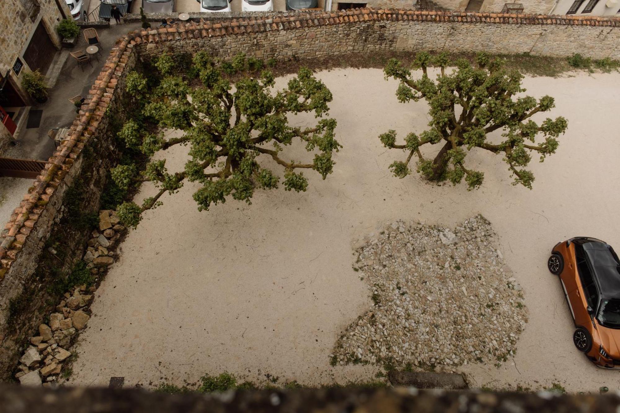 オートワール Manoir De Laroque Delprat Bed & Breakfast エクステリア 写真